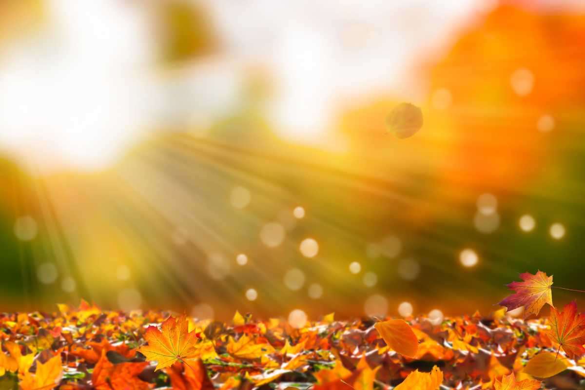 colori autunno