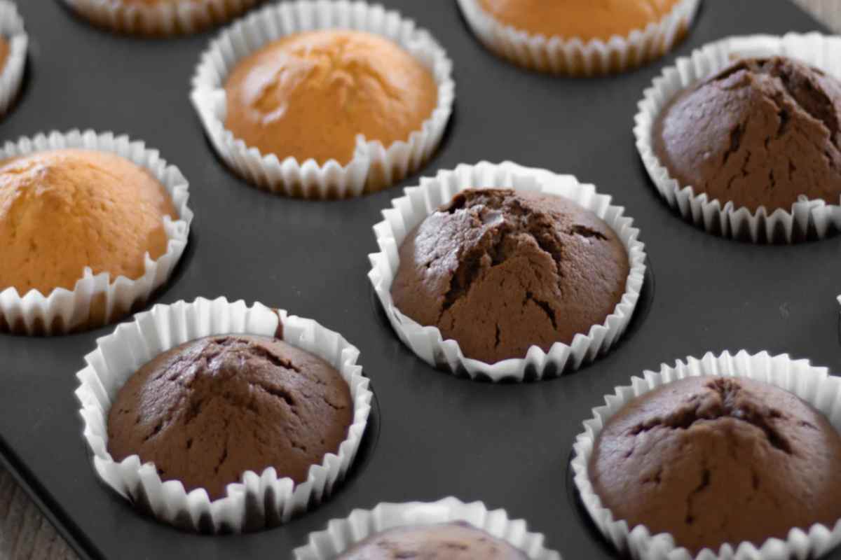 American muffin American muffin