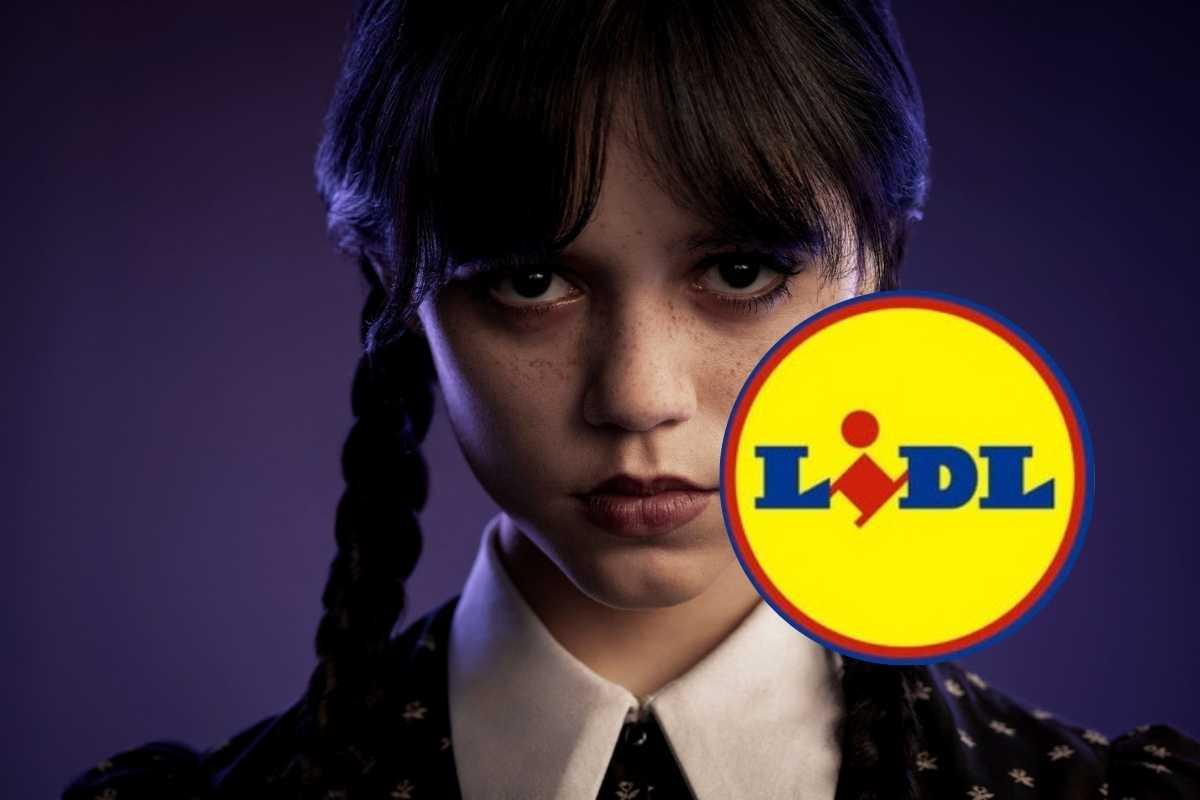Offerte LIDL Mercoledì