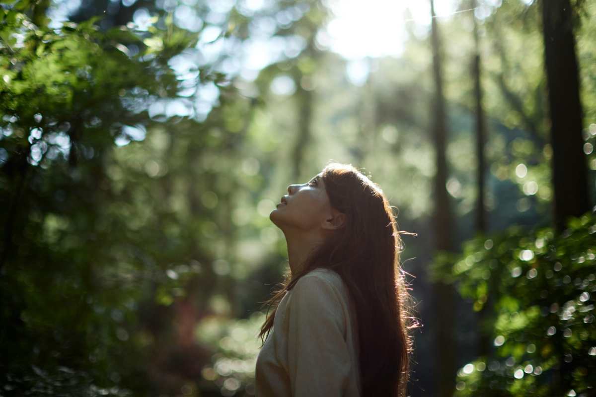 chi eri nella vita precedente