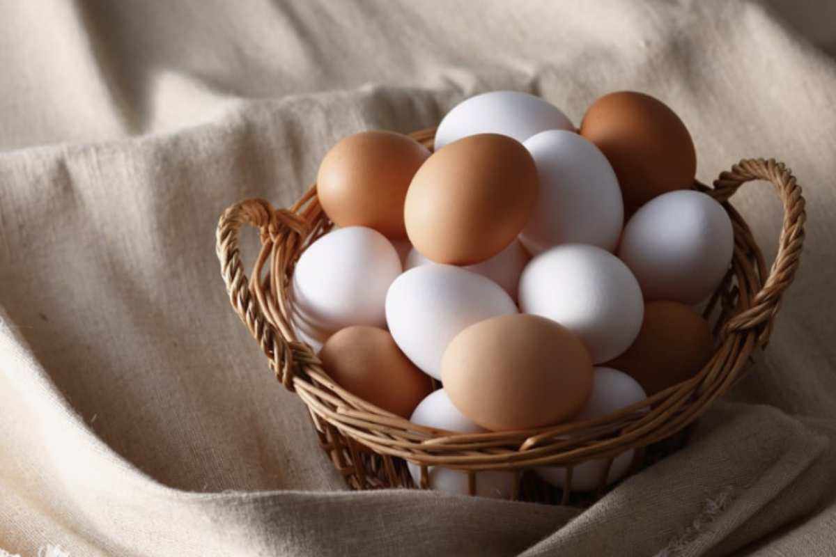 Uova Dal punto di vista nutrizionale, le uova di galline allevate in modo più naturale presentano un profilo più equilibrato e ricco di elementi benefici